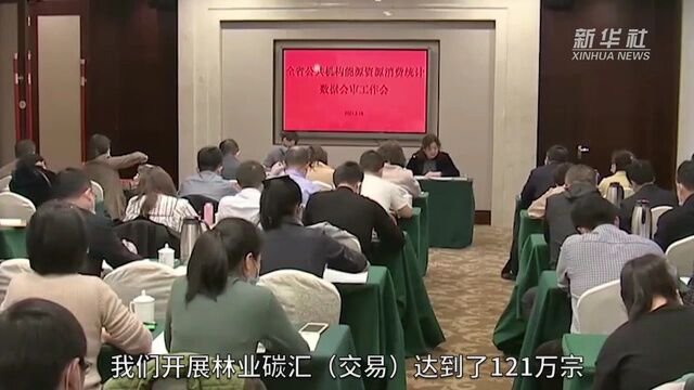 1吨好空气为何能“卖”50元?——江西探索林业碳汇交易见闻