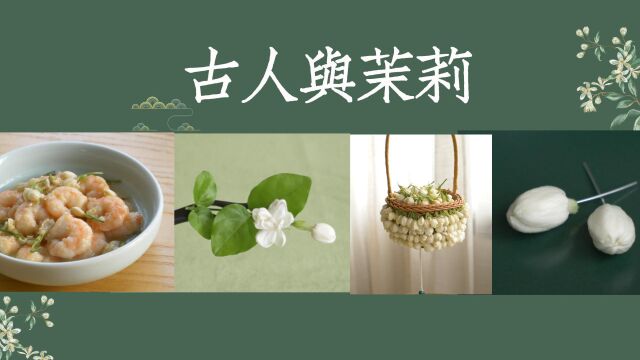 【世间风物】一朵茉莉的中式浪漫