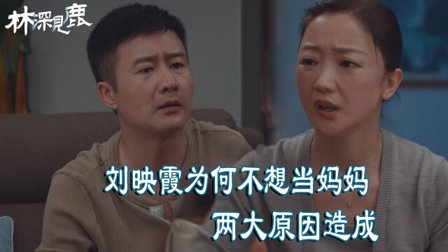 《林深见鹿》刘映霞努力多年,终于有小孩了,为何又不想要?