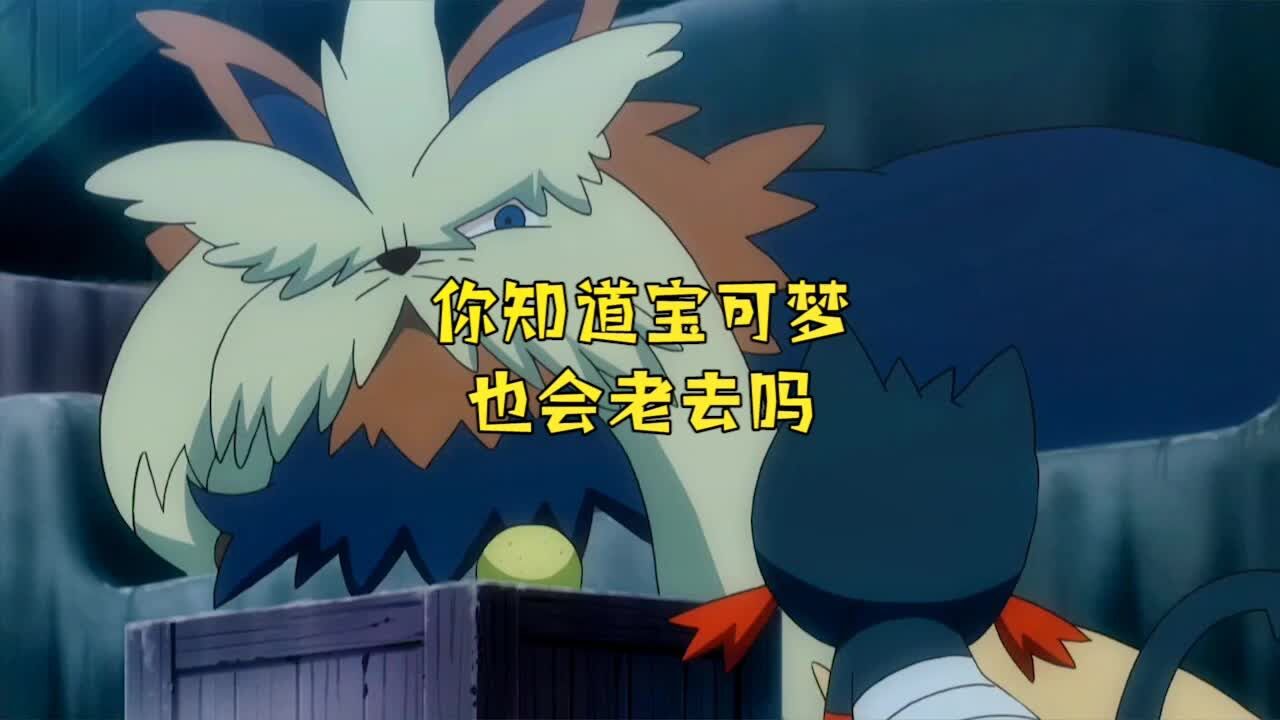 你知道宝可梦也会老吗?知道火斑喵,还有长毛狗的故事吗?_高清1080P在线观看平台_腾讯视频