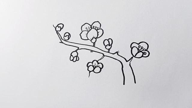 一枝梅花怎么画简单图片