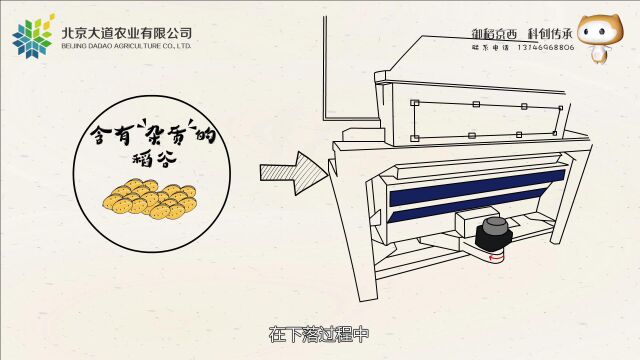 京西稻加工筛杂