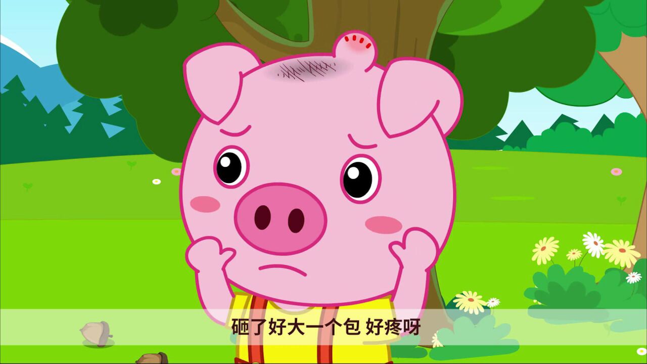 高空不抛物小猪被松果砸中了脑袋肿了大包