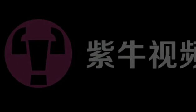 视频|溧宁高速二期段沥青上面层正式施工,吹响最后冲刺号角