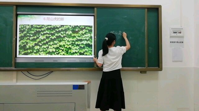 小学+语文+佛山市三水区云东海街道学校