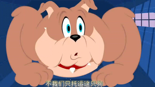 搞笑配音:夏天到了,汤姆斯派克要去夏威夷,斯派克激动的眼睛直了