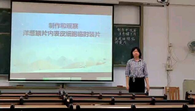 初中 综合实践 乐平镇所属学校