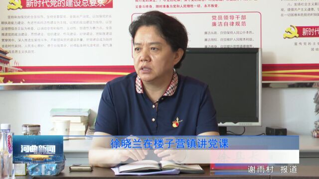 徐晓兰在楼子营镇讲党课