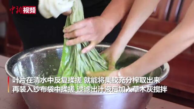 江西大余:三伏天摘叶片制作盛夏美食“客家凉粉”