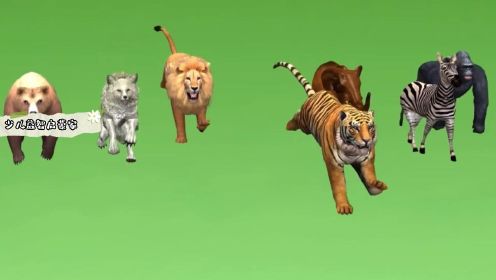 动物动画系列:动物们进行跑步比赛 谁能跑到第一呢