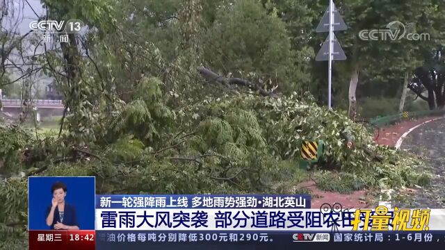 湖北英山:雷雨大风突袭,部分道路受阻、农田受损