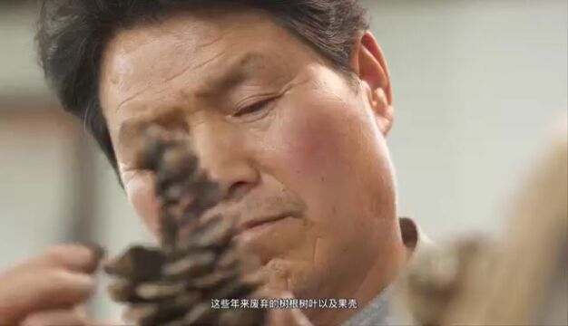 河南卢氏:大山的宝藏