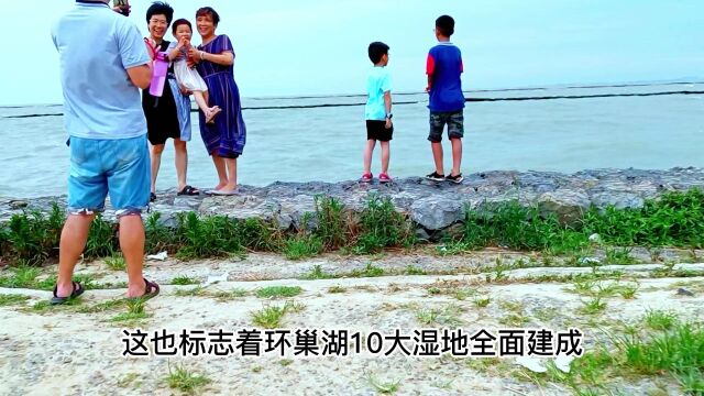 安徽环巢湖十大湿地全面建成,省内十大自驾游亲水景道,开启环巢湖之旅