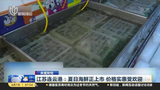 江苏连云港:夏日海鲜正上市 价格实惠受欢迎