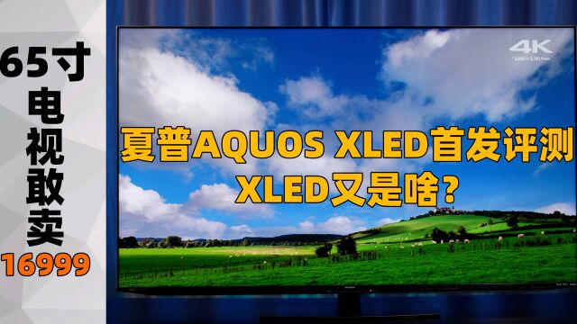 夏普AQUOS XLED首发评测:65寸电视凭啥敢卖16999元?