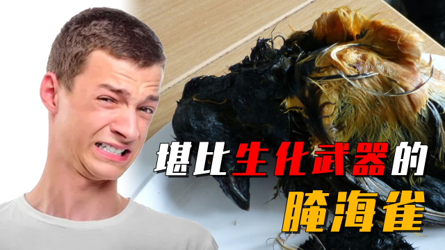 爱斯基摩人的美食腌海雀,内脏腐烂后用嘴吸食,臭味堪比鲱鱼罐头