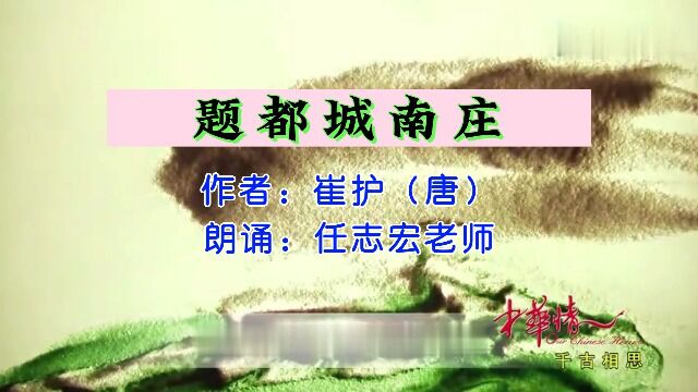 唐崔护《题都城南庄》,任志宏老师朗诵