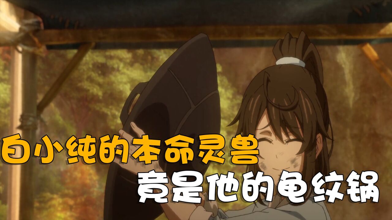 一念永恒白小纯的本命灵兽未央龟竟是龟纹锅