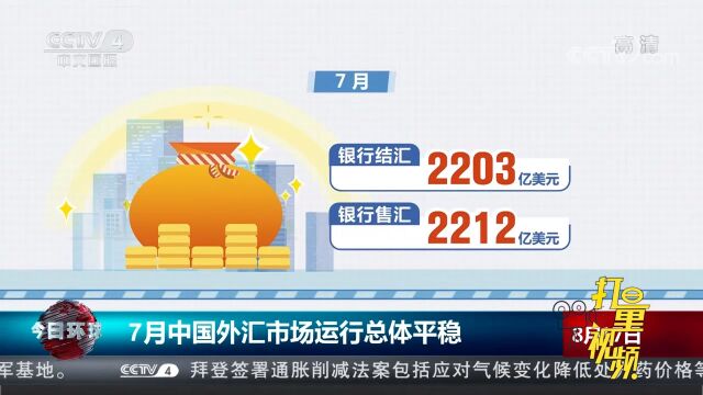 国家外汇管理局:2022年7月中国外汇市场运行总体平稳