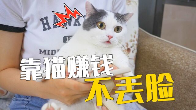 靠猫赚钱很丢脸?做宠物博主居然被鄙视了