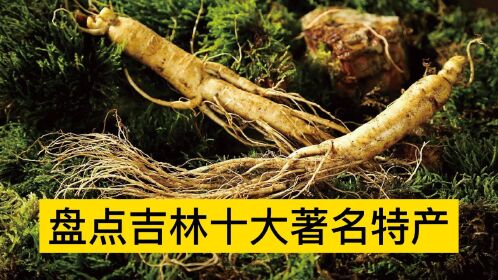 盘点吉林十大特产,长白山人参,吉林鹿茸,查尔干湖胖头鱼排前三