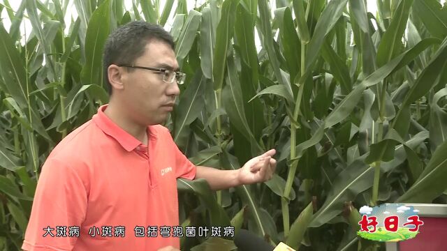 潜力股东单183角标