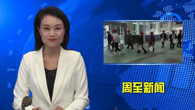 周至65名乡亲赴新疆阿瓦提县采摘香梨