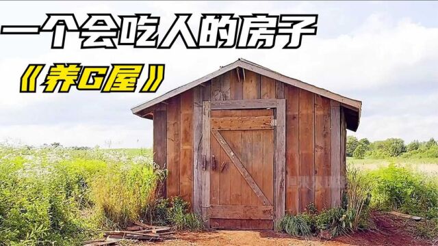 一个会吃人的小木屋,里面到底隐藏着什么样的秘密?《养鬼屋》