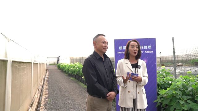 全网观看量破百万 !“昆明品牌连连看”直播首秀收官