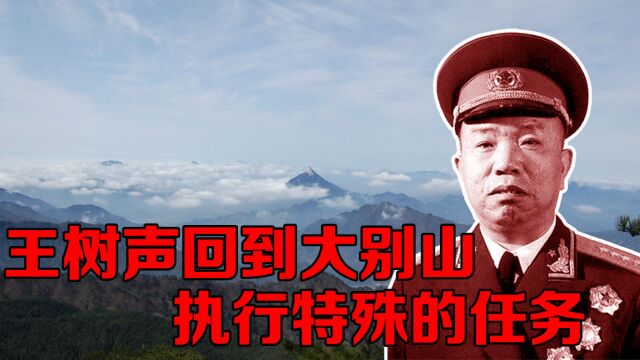 建国后,王树声回到大别山,执行一个特殊的任务