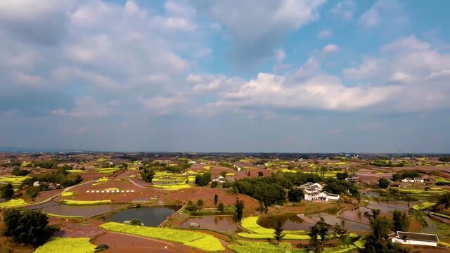 金字招牌 | 土陶不“土”——荣县土陶的热火重生