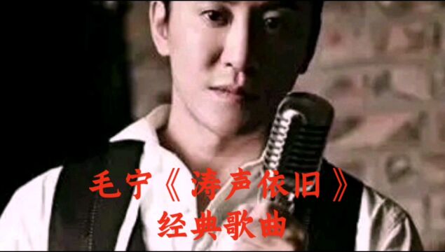 毛宁《涛声依旧》经典歌曲