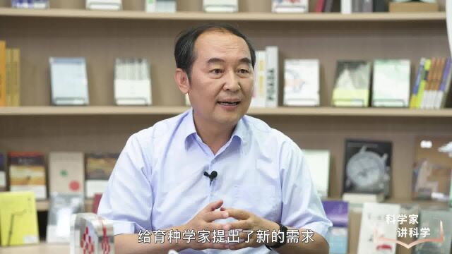 大师课堂丨对话院士种康:如何给种子“芯片”优化“代码”?