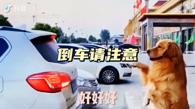 专治各种不开心