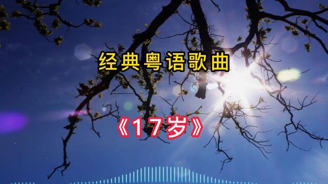 经典粤语歌曲《17岁》刘德华演唱,KTV必点歌曲