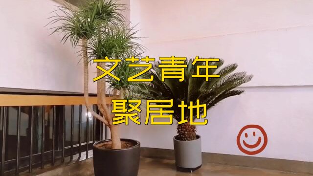 【路过风景】长春桂林路上的创意商业集合体,文艺青年不要错过!