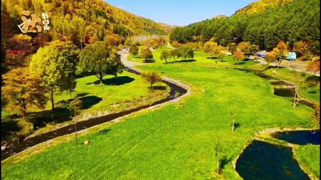 秋到白山 | 浑江区