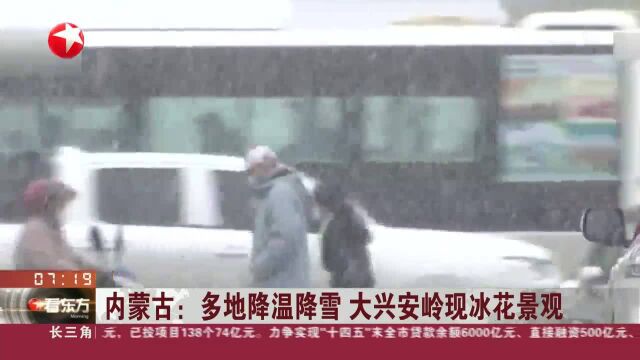 内蒙古:多地降温降雪 大兴安岭现冰花景观