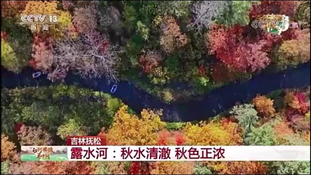 央视新闻:[江河奔腾看中国]——白山抚松露水河:秋水清澈 秋色正浓