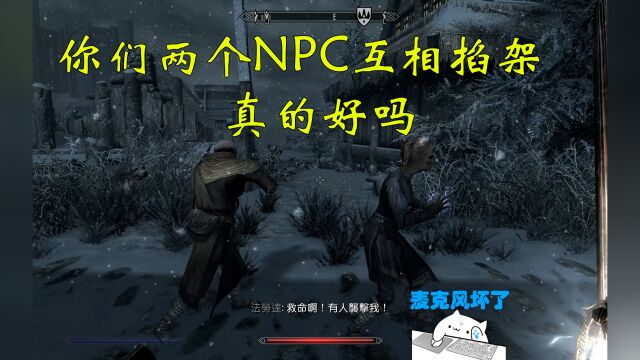 两个NPC从“百草园”一直打到“三味书味”,连睡觉都不放过【上古5重制版】