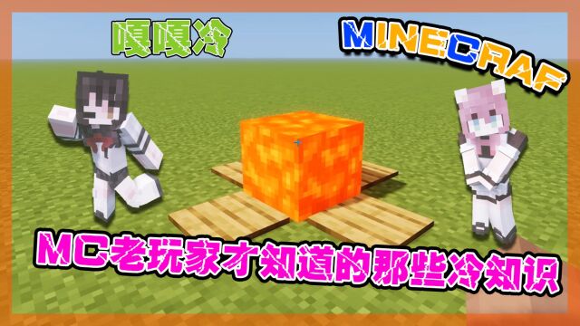 我的世界:MC冷知识,半格水的制作方法