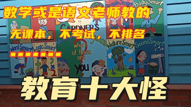 文化课重要吗?公平和效率哪个优先?新西兰基础教育十大怪