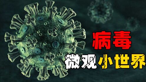 第02集病毒：生活在地球上十几亿年人类威胁最大的微生物_少儿_动画片大全_腾讯视频