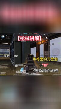 万金油枪械smg5