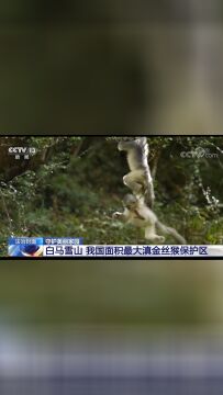 森林公安守护美丽家园