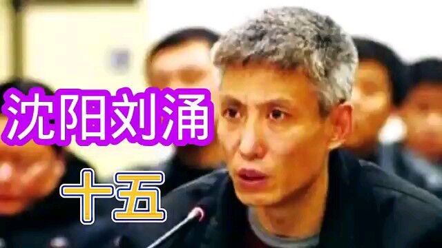 沈阳刘涌第15集(李维把宋建飞砍了)