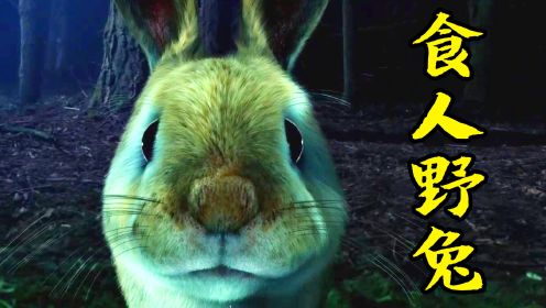 2022惊悚电影《食人野兔》，一群人去丛林狩猎，不料反被野兔吃掉