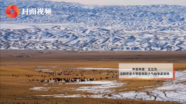 立冬打雷要反春?冬天打雷也很正常|民俗日历ⷤ𚌥四节气