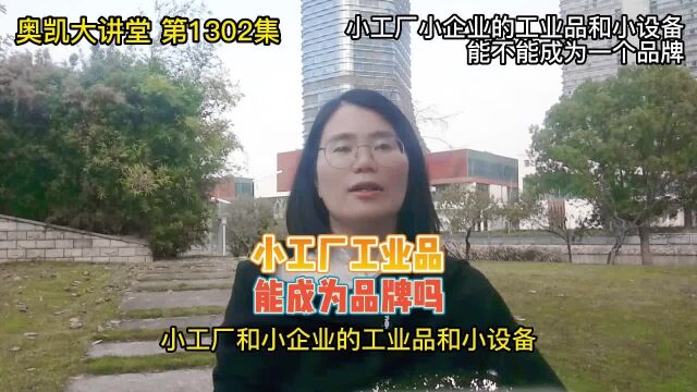 1302 小工厂小企业的工业品和小设备能不能成为一个品牌