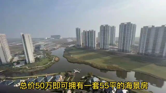 总价50万57平海景房,30分钟即可到达上海,精装交付